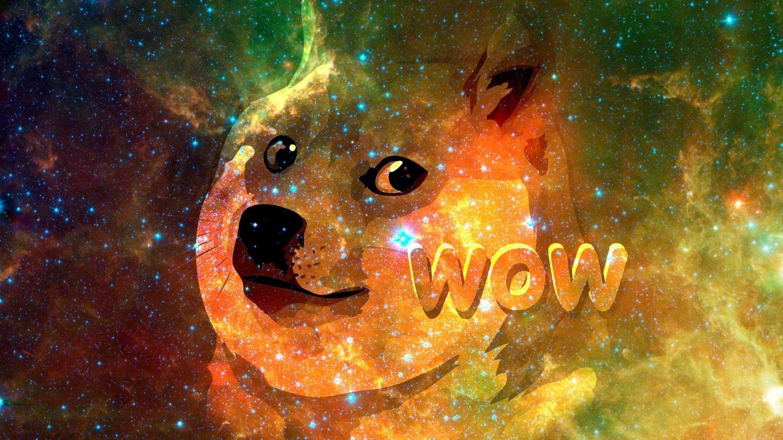 1920x1080 13 Doge HD Wallpapers | Background Images