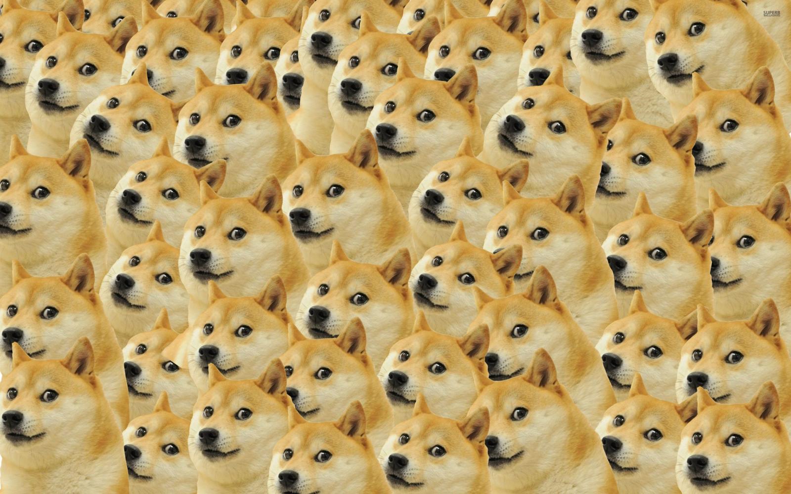 2880x1800 Doge Wallpaper Pack - Album on Imgur