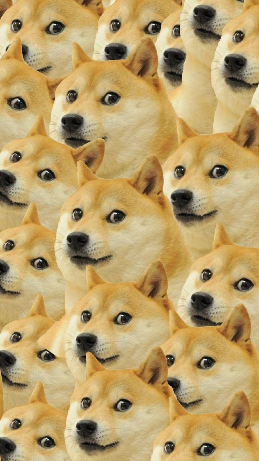 1080x1920 Shiba Inu Doge Wallpaper Home Screen | Dog wallpaper iphone, Dog wallpaper,  Doge meme