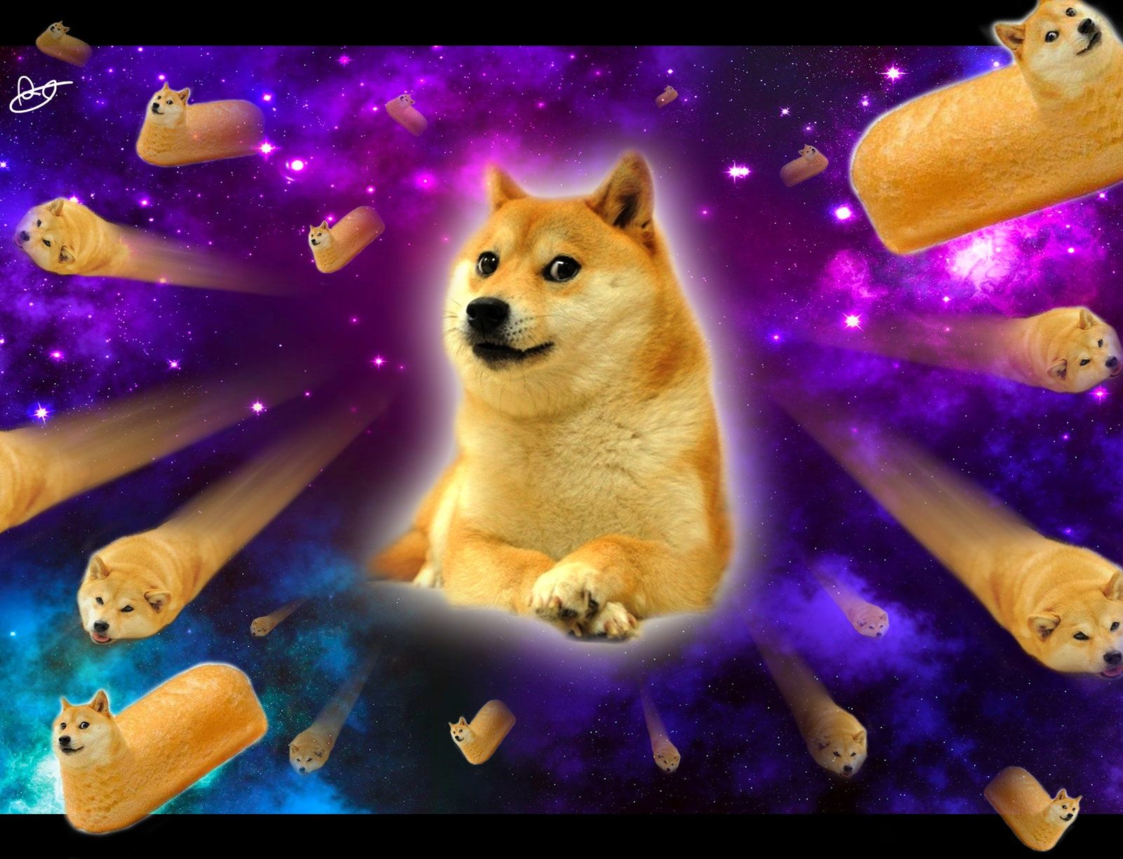 1600x1224 49+] Doge Wallpaper on WallpaperSafari