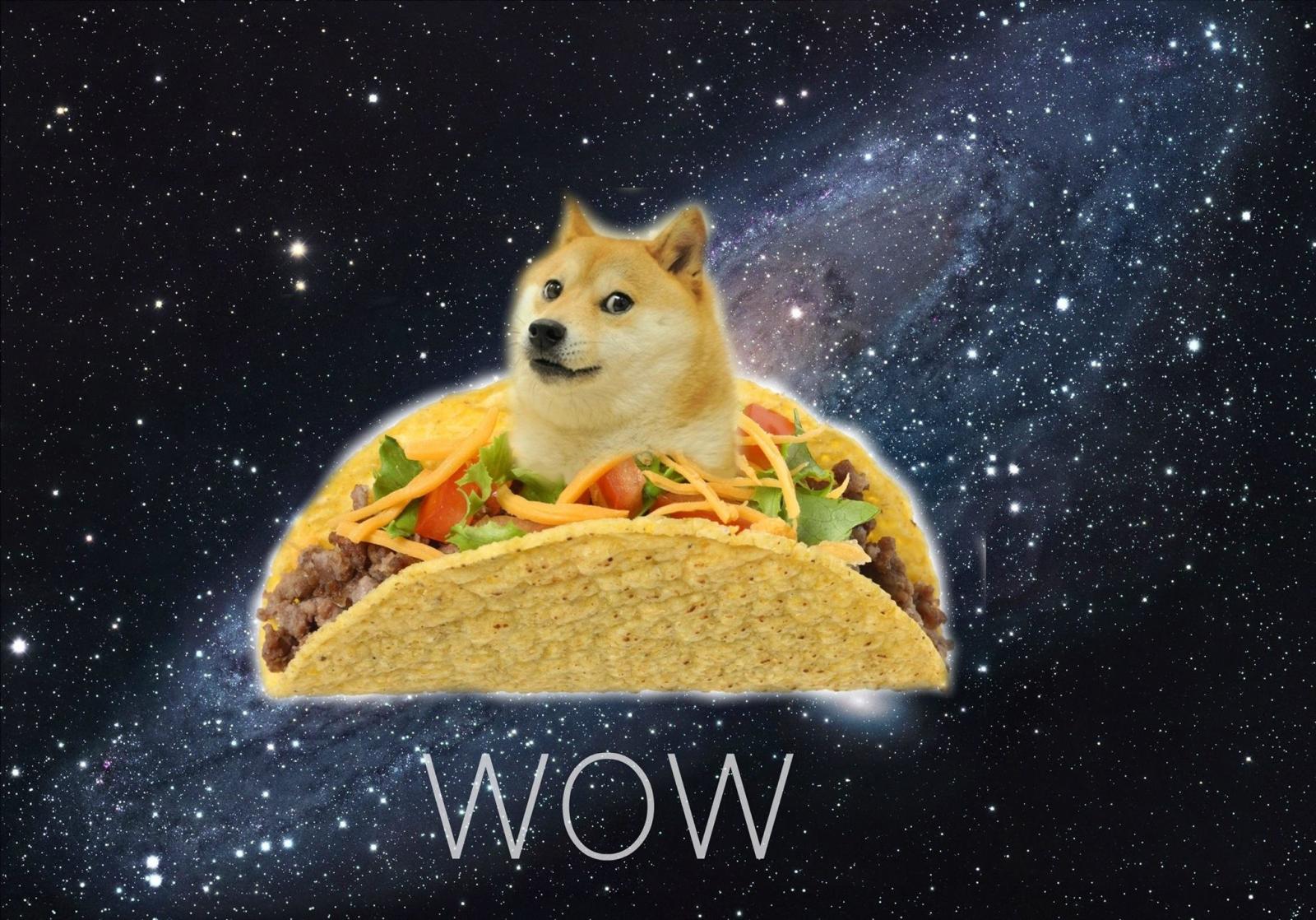 2048x1432 Doge Wallpaper Images Free Download Wallpapers Background - Doge Taco -  2048x1432 - Download HD Wallpaper - WallpaperTip