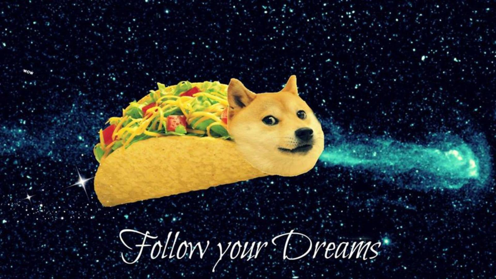 2048x1152 2048x1152, Doge Wallpaper Doge Meme Wallpaper Images - Taco Doge -  2048x1152 - Download HD Wallpaper - WallpaperTip