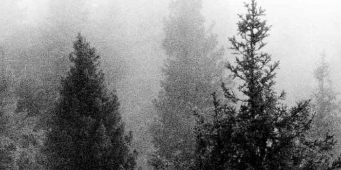 750x1334 Free download Tumblr Indie Photography Boho backgrounds for tumblr  [2560x1440] for your Desktop, Mobile & Tablet | Explore 48+ Indie Wallpapers  | Indie Wallpapers Tumblr, Indie Desktop Wallpaper, British West Indies  Wallpaper