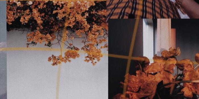 884x1491 Aesthetic Indie Wallpaper Iphone - 884x1491 Wallpaper - teahub.io