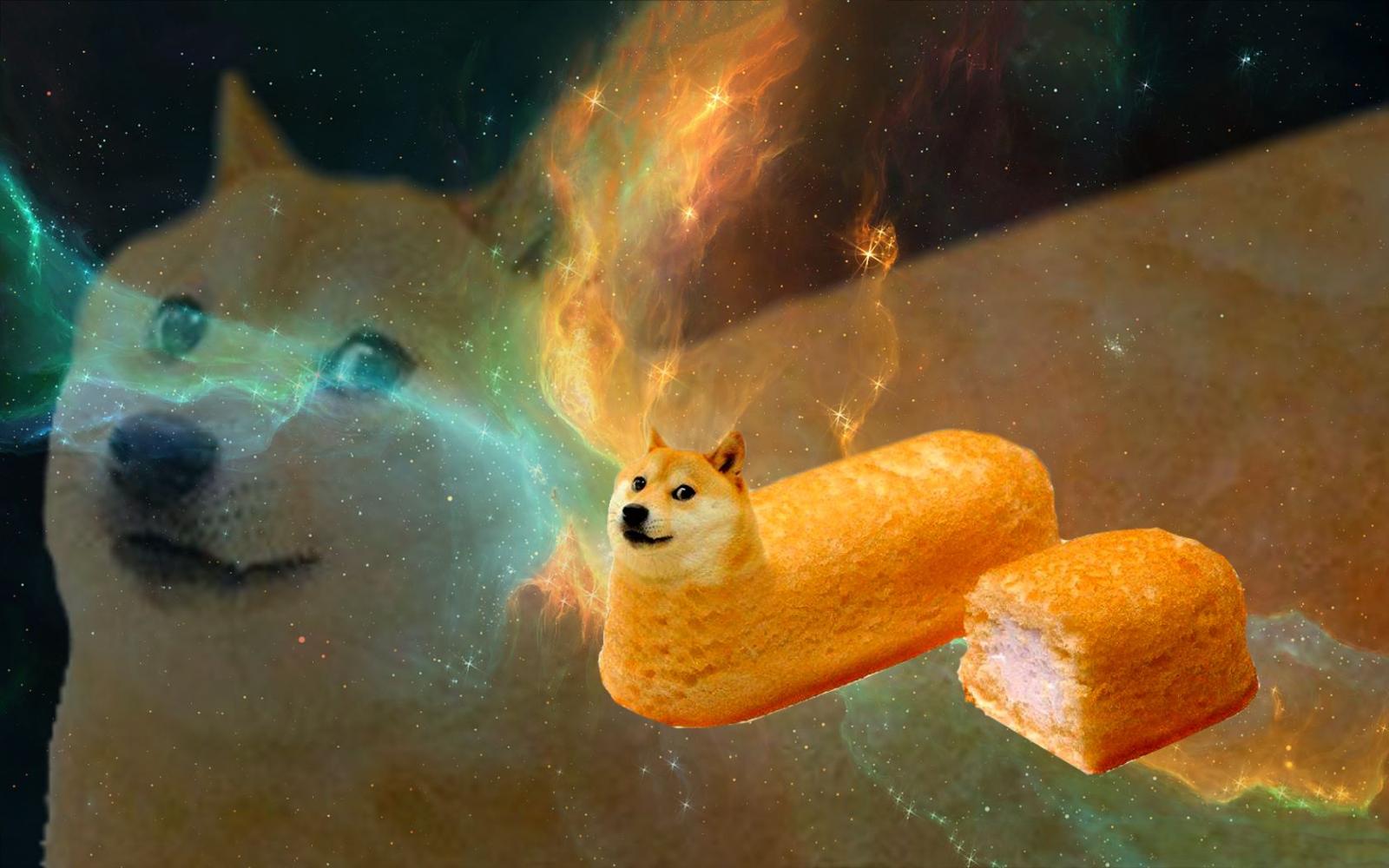1680x1050 Doge Wallpaper | 1680x1050 | ID:48666