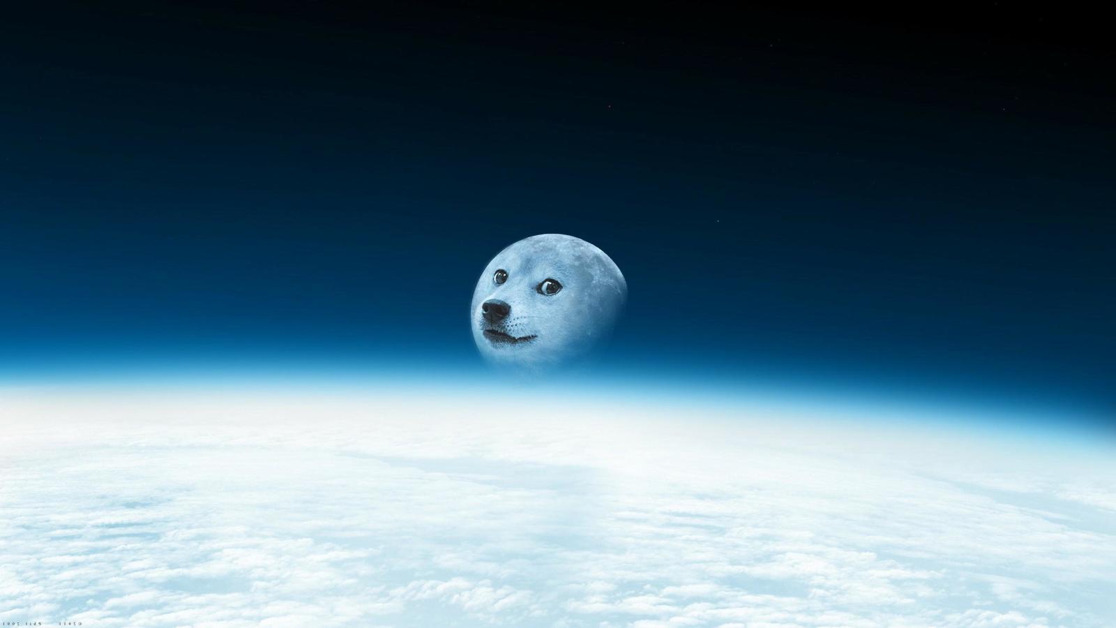 2560x1440 Doge wallpapers 2560x1440 desktop backgrounds