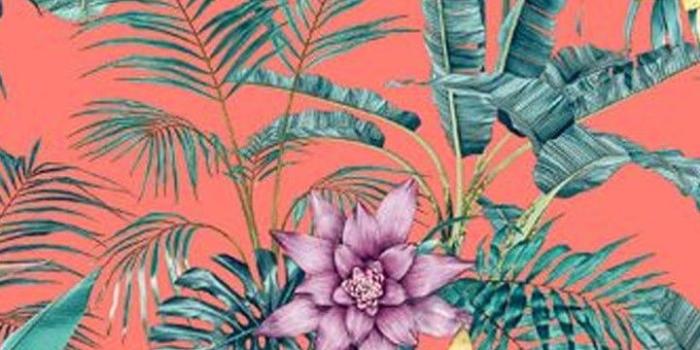 720x1280 Cute Indie Wallpaper - KoLPaPer - Awesome Free HD Wallpapers