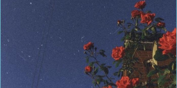 2048x2048 Indie Aesthetic Wallpaper - KoLPaPer - Awesome Free HD Wallpapers - indie  wallpaper | Neat