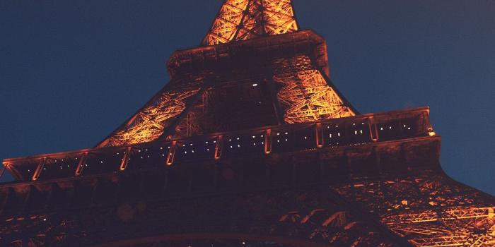 1242x2208 Paris Wallpaper - 1242x2208 Wallpaper - teahub.io