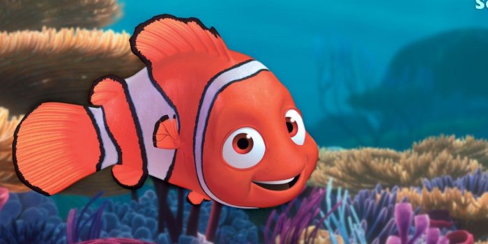 2048x2048 Nemo Wallpapers - Top Free Nemo Backgrounds - WallpaperAccess