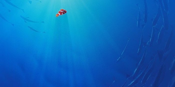 750x1334 Nemo From Finding Dory Wallpaper | 33 Magical Disney Wallpapers For Your  Phone | POPSUGAR Tech Photo 29