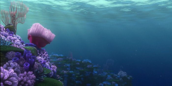 1920x1080 Finding Nemo Wallpapers Data-src /w/full/9/a/2/481622 - Finding Nemo  Background - 1920x1080 - Download HD Wallpaper - WallpaperTip