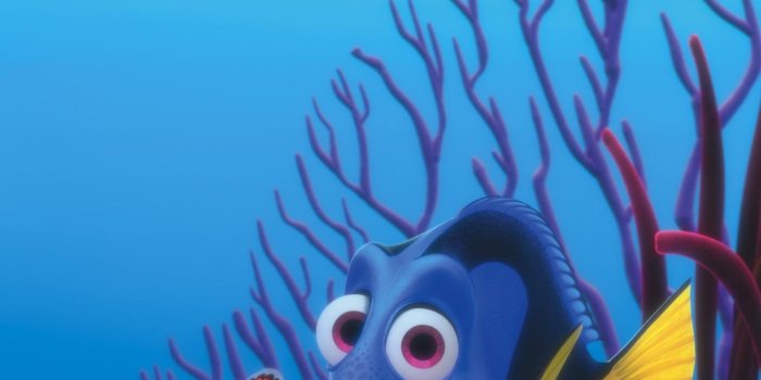 1536x2732 Finding Nemo (2003) Phone Wallpaper | Moviemania | Disney wallpaper, Disney  finding nemo, Finding nemo movie