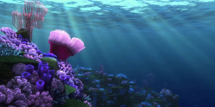 1920x1080 Finding Nemo Wallpapers Hd - Finding Nemo Ocean Background - 1920x1080  Wallpaper - teahub.io