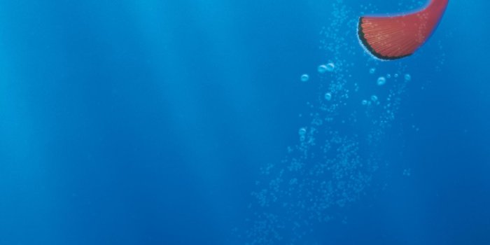 1536x2732 Finding Nemo (2003) Phone Wallpaper | Moviemania