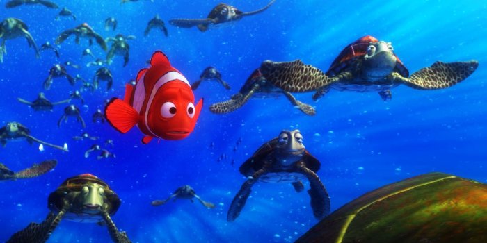 1920x1080 Finding Nemo - Finding Nemo Wallpaper Hd - 1920x1080 - Download HD Wallpaper  - WallpaperTip