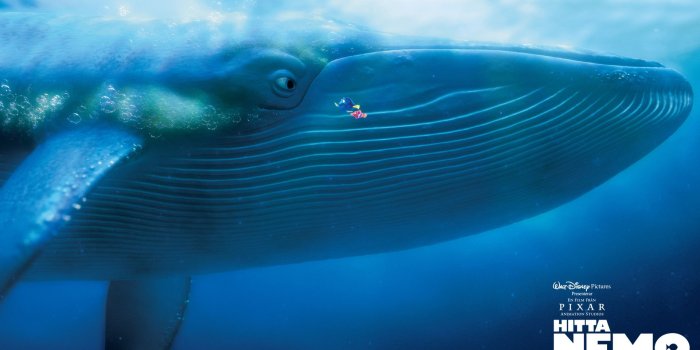 1920x1200 Kids-n-fun.com | Wallpaper Finding Nemo Finding Nemo