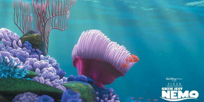 1024x768 Finding Nemo Wallpapers - 1024x768 Wallpaper - teahub.io