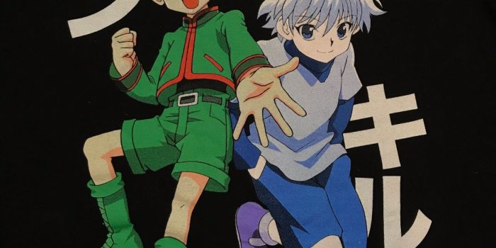 1080x2220 Hunter x Hunter 1440 x 2960 wallpapers - Album on Imgur
