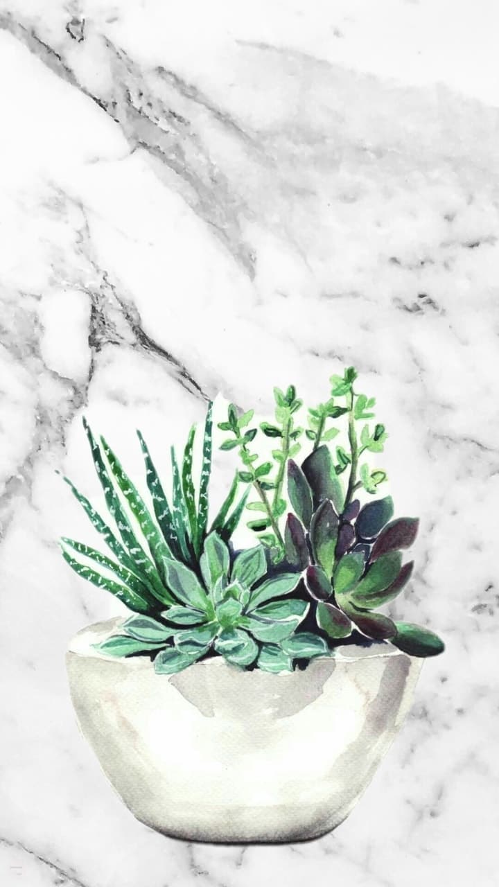 720x1280 Image about wallpaper in W a l l p a p e r s by I L O N A