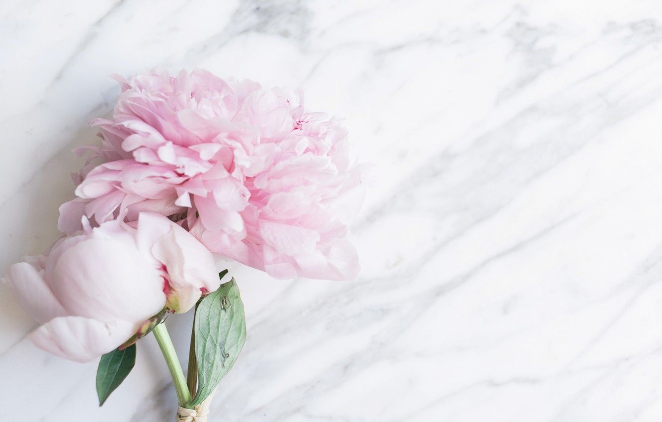 1332x850 Wallpaper flowers, bouquet, marble, pink, flowers, peonies, peonies,  tender, marble images for desktop, section цветы - download