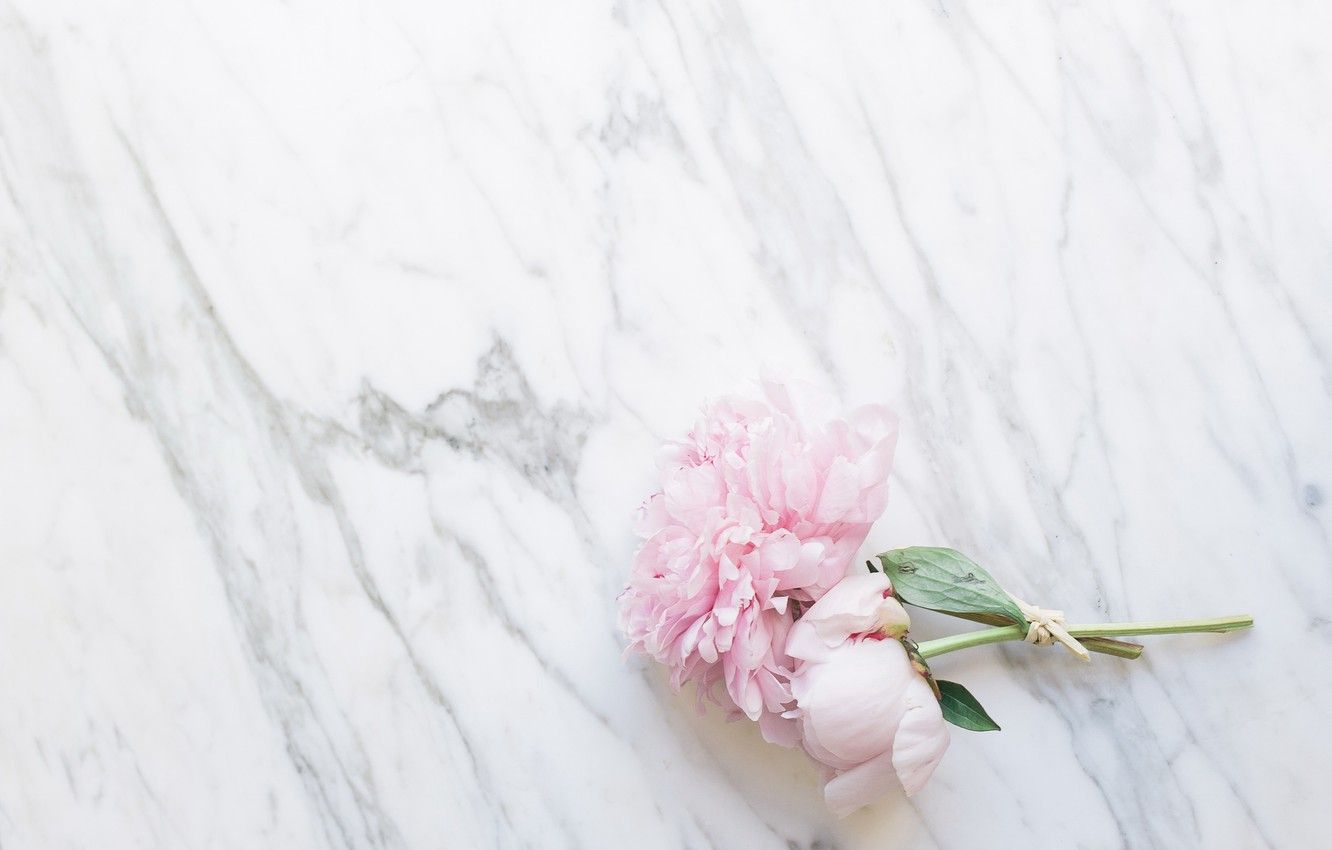 1332x850 Wallpaper flowers, bouquet, marble, pink, flowers, peonies, peonies,  tender, marble images for desktop, section цветы - download