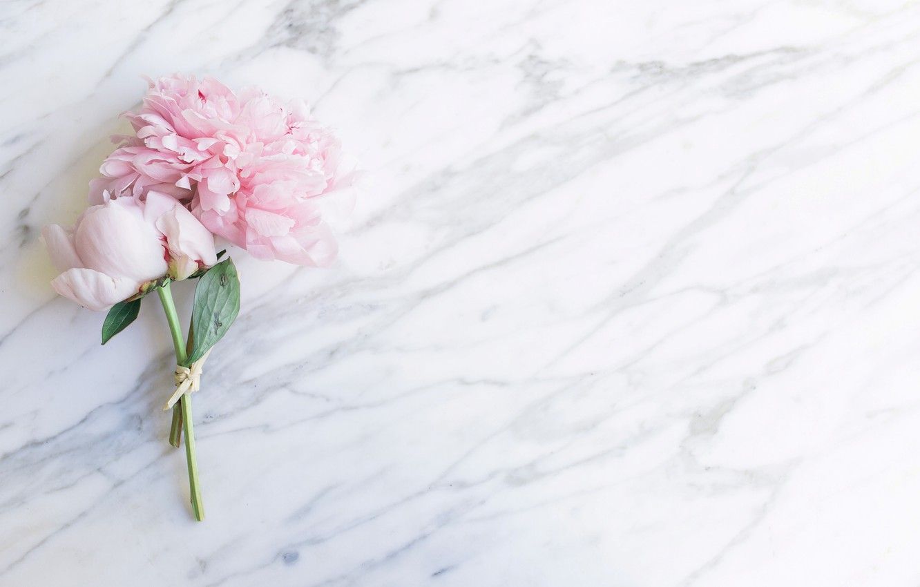 1332x850 Wallpaper flowers, bouquet, marble, pink, flowers, peonies, peonies,  tender, marble images for desktop, section цветы - download