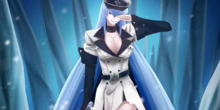 1920x1200 Esdeath (Ice Queen) HD Wallpaper | Background Image | 1920x1200 | ID:605789 