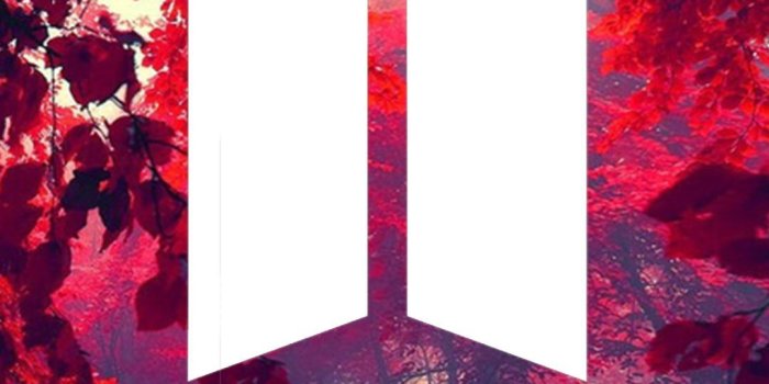 1080x1920 Bts Logo Hd Wallpapers posted by Ryan Tremblay