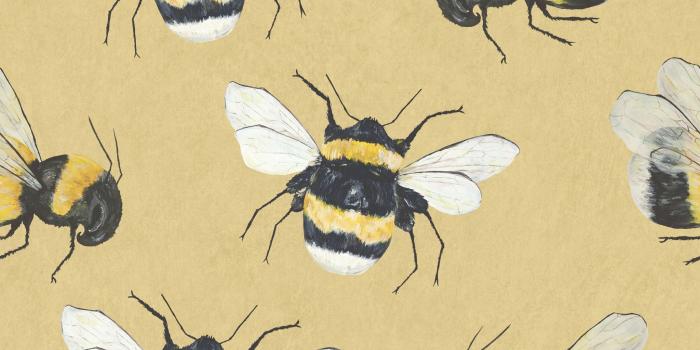 2048x2048 Park House - Bee Wall Paper (#2907434) - HD Wallpaper & Backgrounds Download