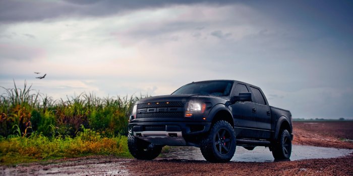 1920x1200 Front side view of a black Ford F-150 Raptor wallpaper - Car wallpapers -  #52212