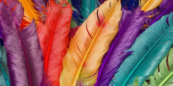 1920x1200 colorful, colourful :: Wallpapers