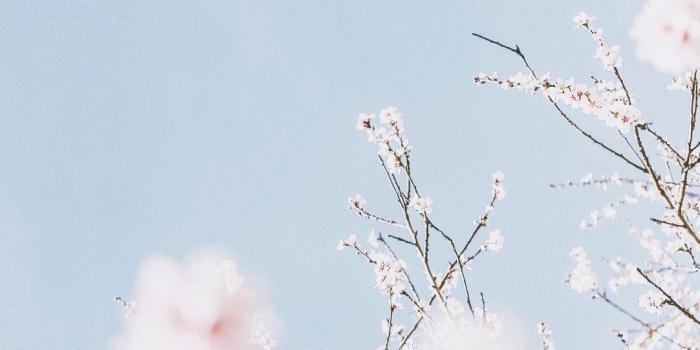 1082x1920 Pastel Blue Aesthetic Lockscreen (#1376000) - HD Wallpaper & Backgrounds  Download