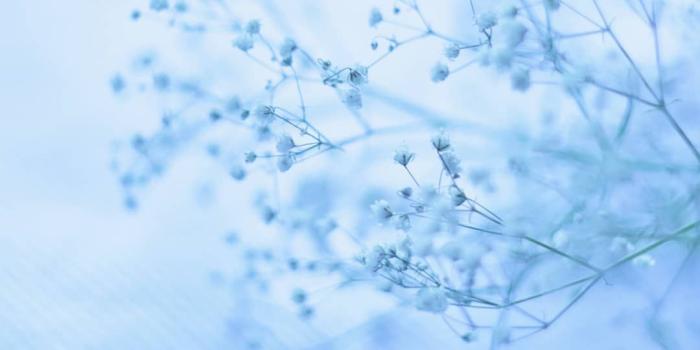 1080x1350 Aesthetic Pastel Blue Baby Blue Wallpaper | Total Update