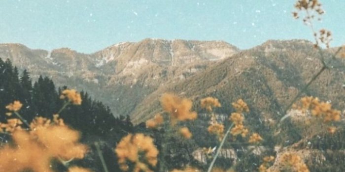 720x1249 Iphone Wallpapers Vintage Aesthetics - Vintage Aesthetic Wallpaper Iphone  (#398684) - HD Wallpaper & Backgrounds Download