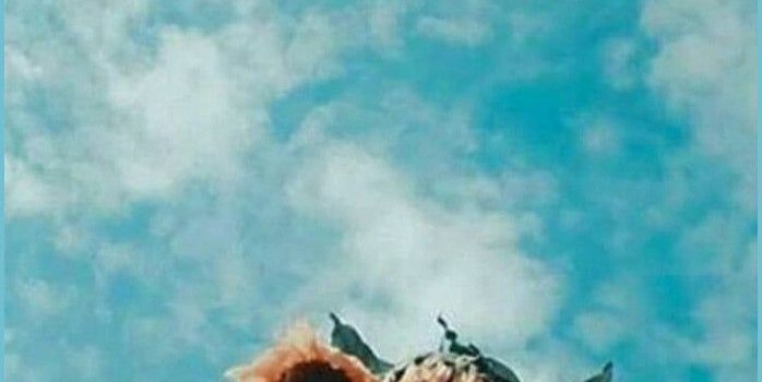 698x1241 Summer Aesthetics Wallpapers - summer aesthetic wallpaper  | Neat