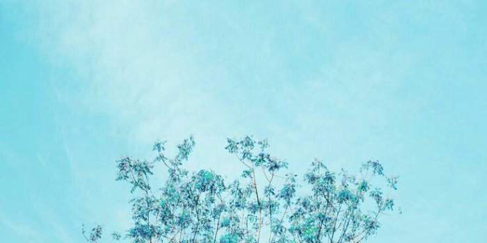 736x1308 Blue Aesthetic HD Wallpapers