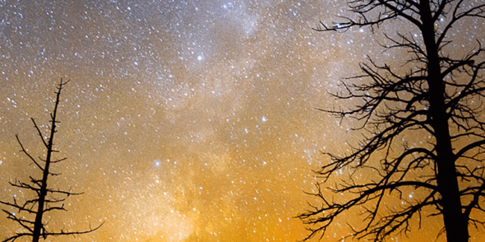 1080x1920 Full HD Wallpapers For Mobile