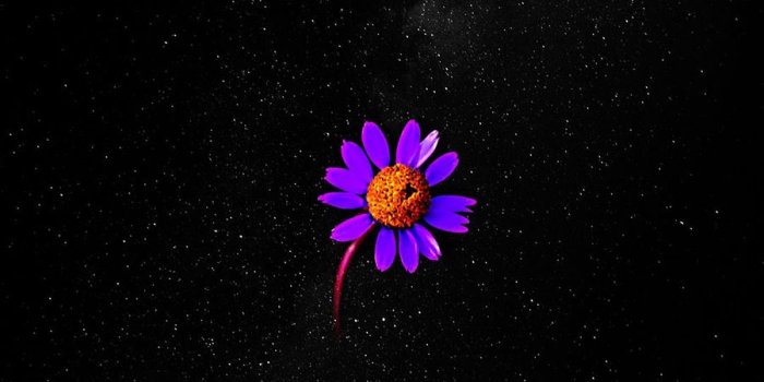 900x1600 Phone HD Wallpapers Free Download - Android Phone Wallpaper - Best  Wallpapers