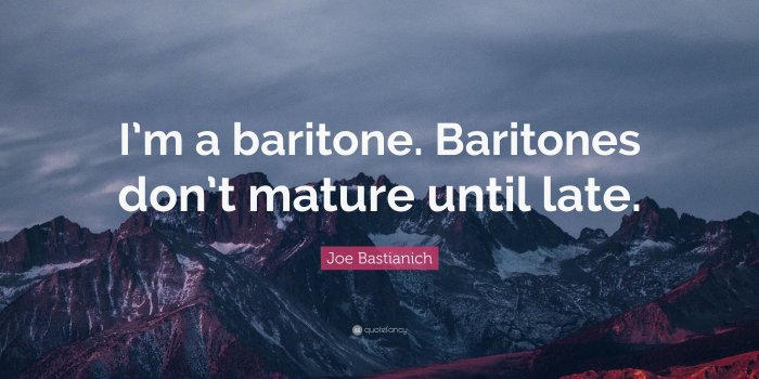 3840x2160 I'm a baritone. Baritones don't maturequotefancy.com