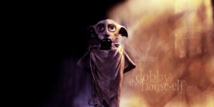 1024x768 Dobby Wallpapers - Top Free Dobbywallpaperaccess.com
