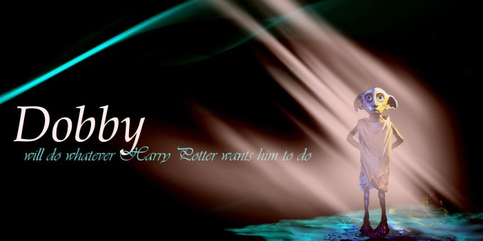 1920x1200 Dobby Wallpaperswallpapercave.com