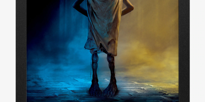 1000x1350 Harry Potter Dobby Protect Harry Potterpinterest.com