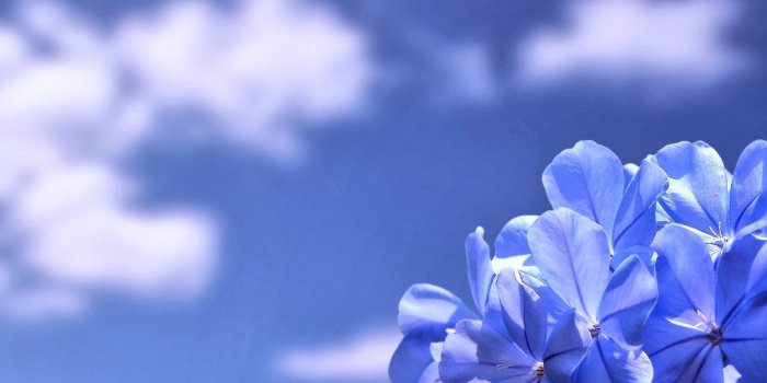 1600x1000 Blue Wallpapers Inspirationallefthudson.com