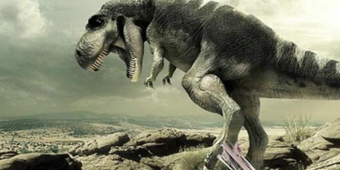 1600x1200 Cute Dino Wallpaperwallpapersafari.com