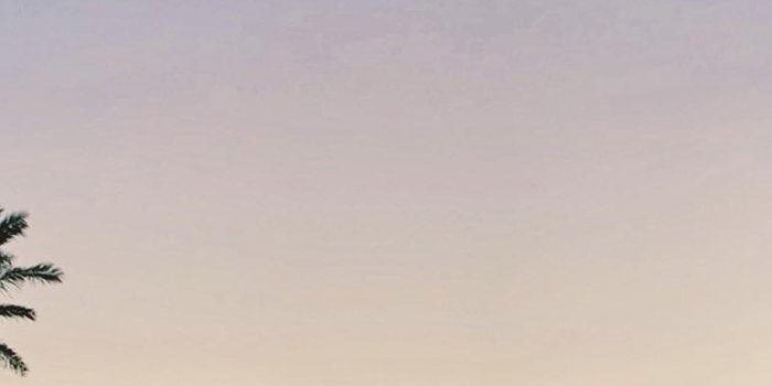 773x1375 Houston Texas Wallpaper posted bycutewallpaper.org