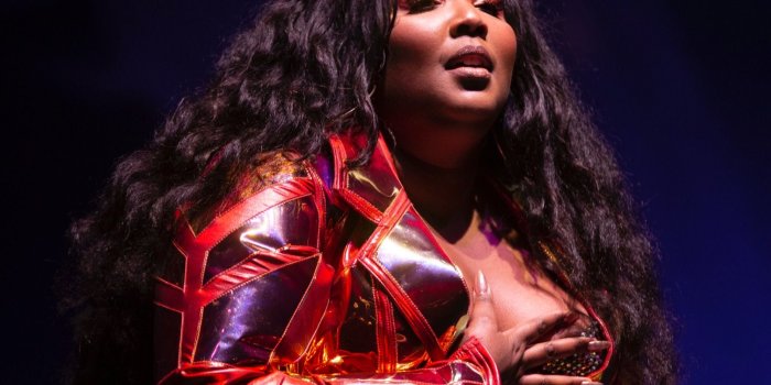 1600x1200 Lizzo Wallpapers - Top Free Lizzowallpaperaccess.com