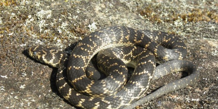 1024x768 beautiful Australia _10635 #pasajespinterest.com.au