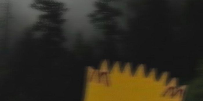 736x1593 Sad Bart iPhone Wallpaperswallpapercave.com