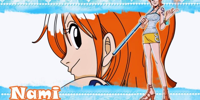 1600x1200 One Piece Nami Wallpaperswallpapercave.com